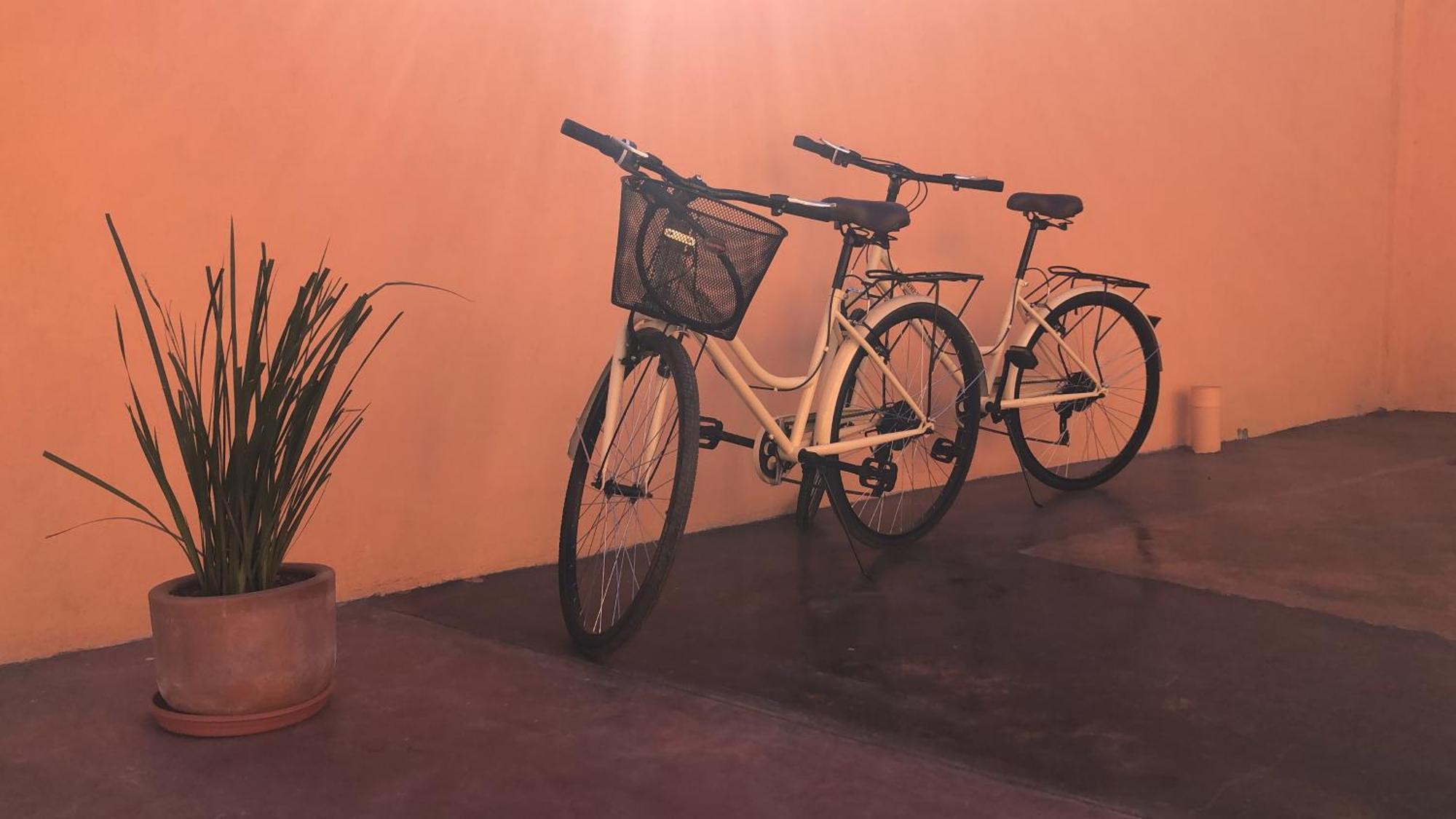 Tres Iguanas Apart Hotel - New, Cozy & Spacious Flats, Short Walk To Beach 洛雷托 外观 照片
